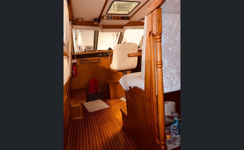 Sterna Muu malli-kuva-5